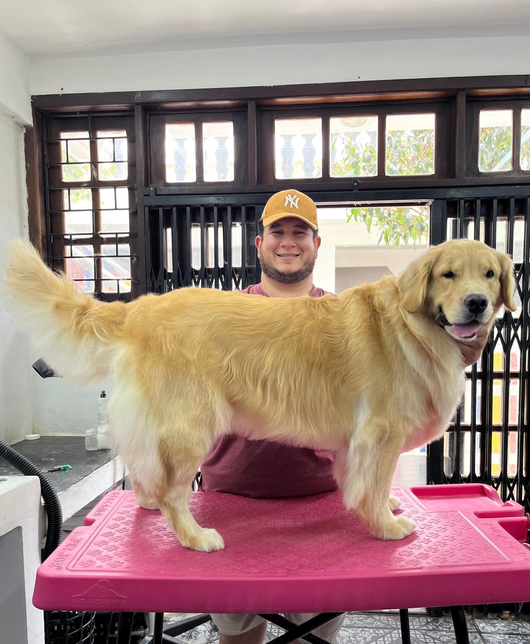 Pet feliz 4
